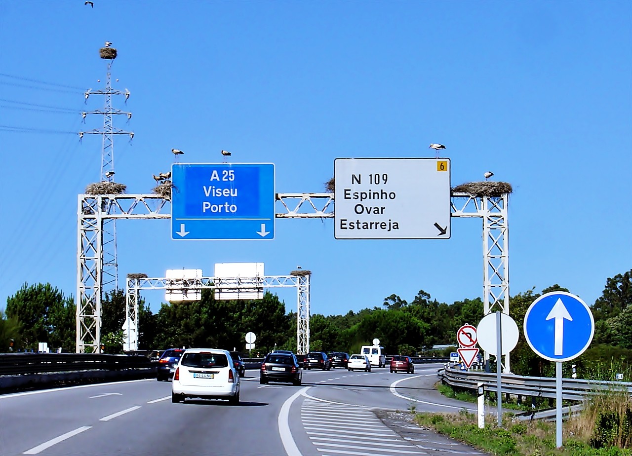 Lo que necesitas saber para viajar por Portugal